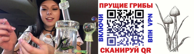 сайты даркнета наркотические препараты  Иланский  Псилоцибиновые грибы MAGIC MUSHROOMS  дарнет шоп 